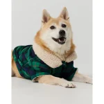 OFFLEASH By Aerie Flannel Dog Shirt - Everglade