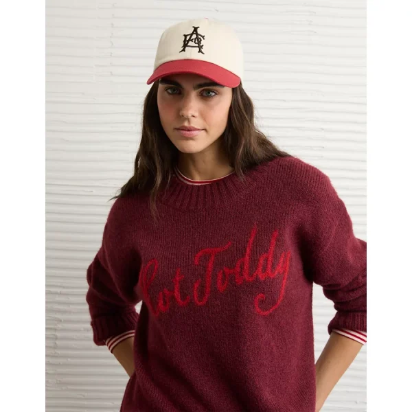 AE Woah So Soft Classic Crew Neck Sweater - Maroon